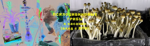 соль ск Корсаков