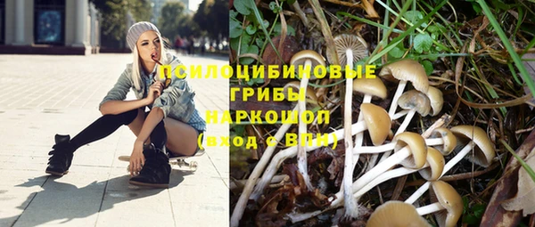 прущая мука Костерёво