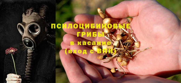 ПСИЛОЦИБИНОВЫЕ ГРИБЫ Краснослободск